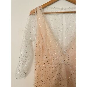 Sequin Mesh Dress with Sheer Sleeves